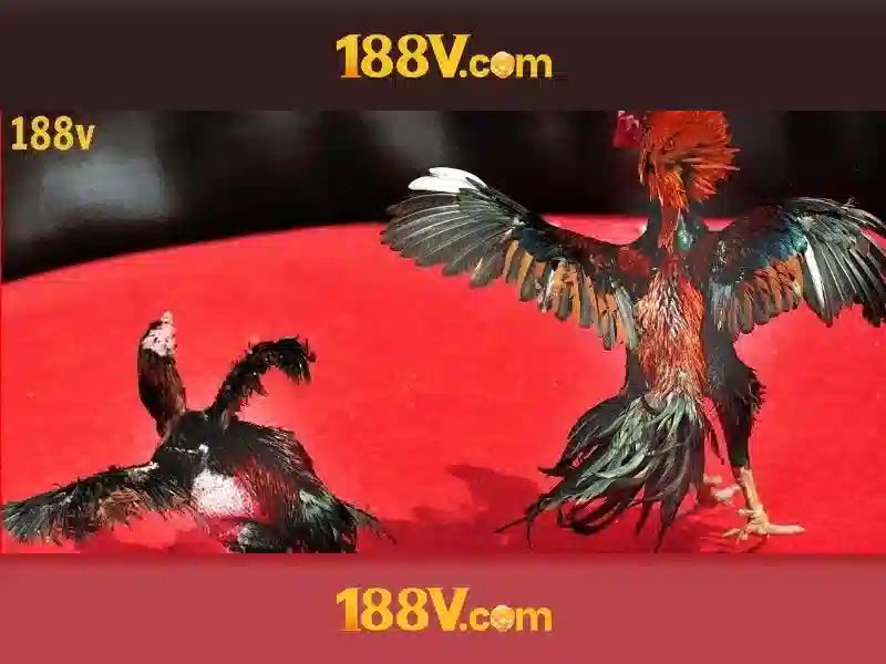 Tổng quan chủ đề và giá trị cốt lõi Tổng quan chủ đề và giá trị cốt lõi