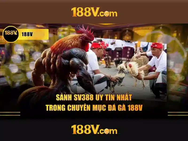 Việt Vị Trong Bóng Đá