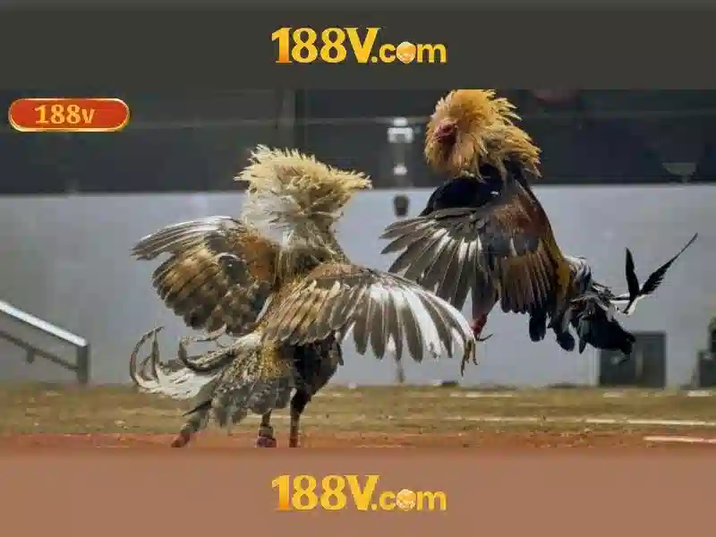 Việt Vị Trong Bóng Đá