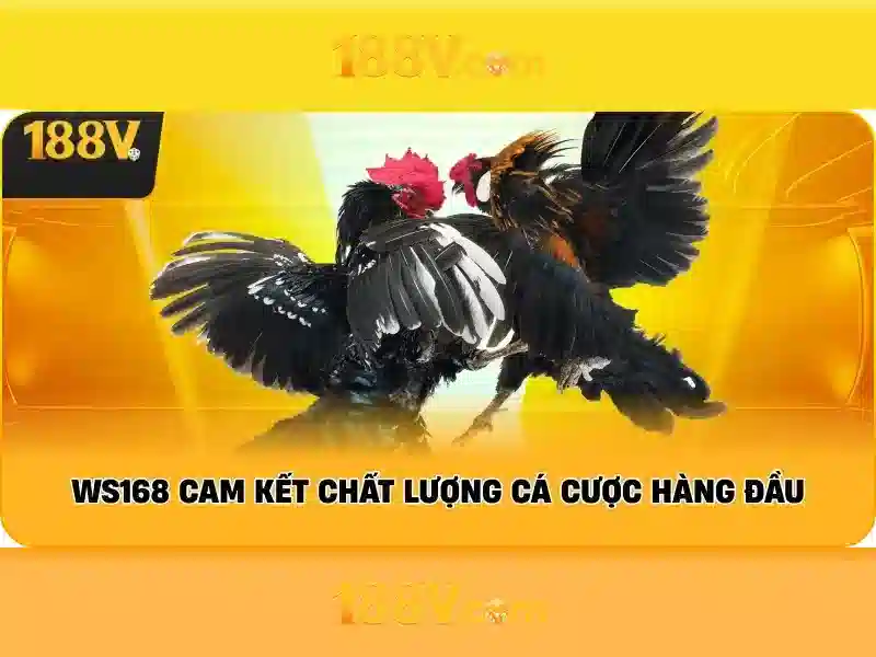 Tổng quan chủ đề và giá trị cốt lõi Tổng quan chủ đề và giá trị cốt lõi