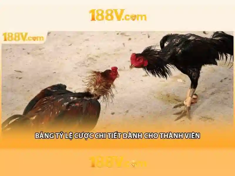 Tương lai của 188v Tương lai của 188v