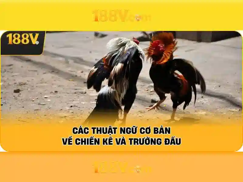 Kết luận về 188V và tương lai Kết luận về 188V và tương lai