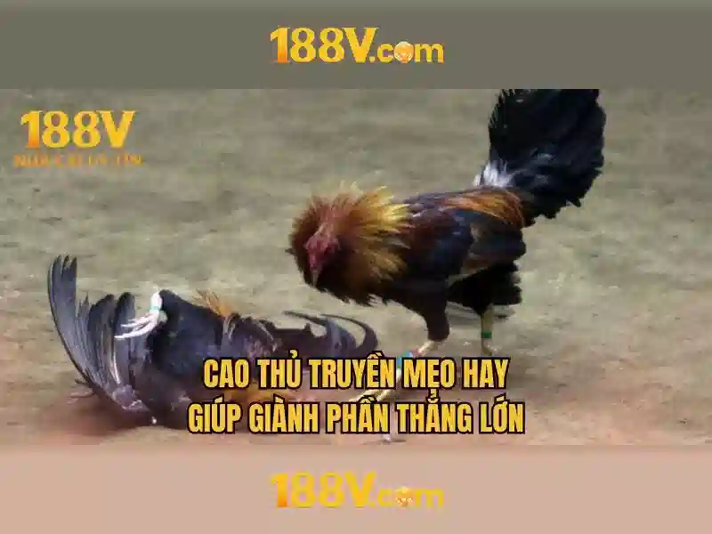 Nguồn gốc và an toàn khi làm việc với 188V