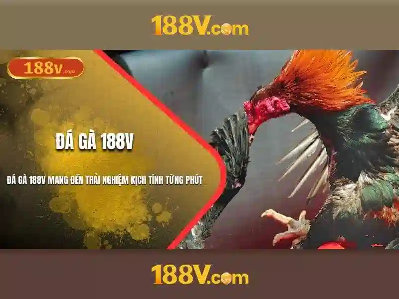 Khởi nguồn của 188v\n Khởi nguồn của 188v\n