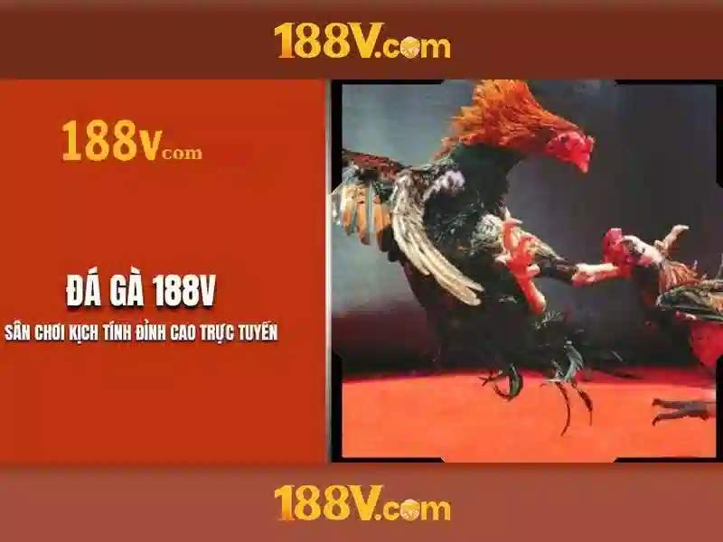 Bull Bull trực tuyến