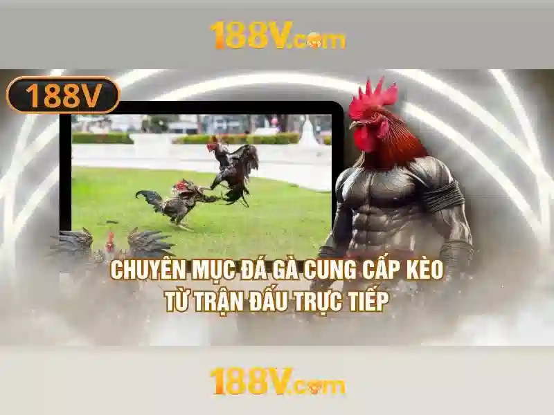 Tong quat ve slot 188v Tong quat ve slot 188v