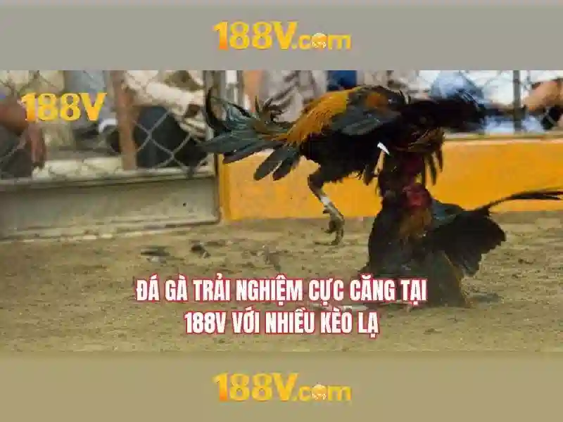 188V: một mức điện áp định danh đầy tiềm năng\n