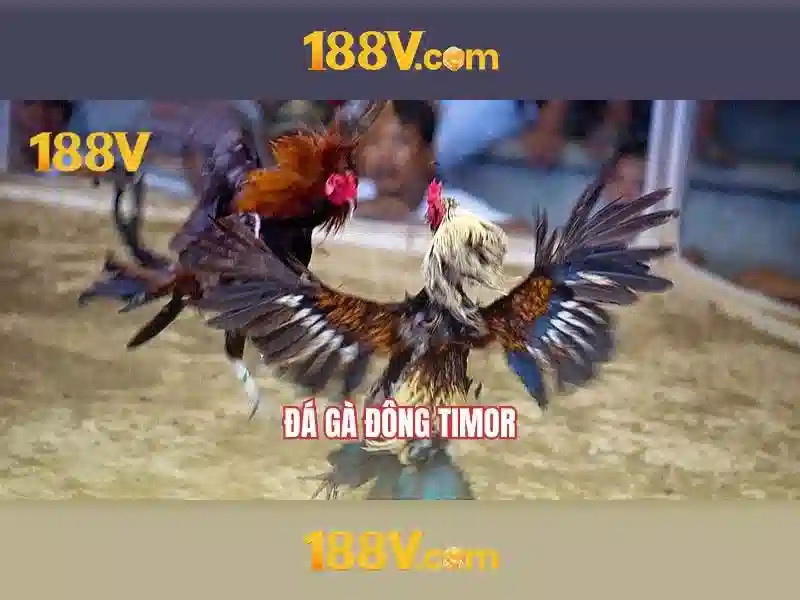 Các sản phẩm và dịch vụ chính: ứng dụng thực tế của 188v Các sản phẩm và dịch vụ chính: ứng dụng thực tế của 188v