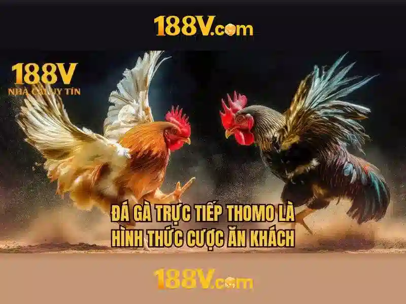 Kiểm tra và mô phỏng