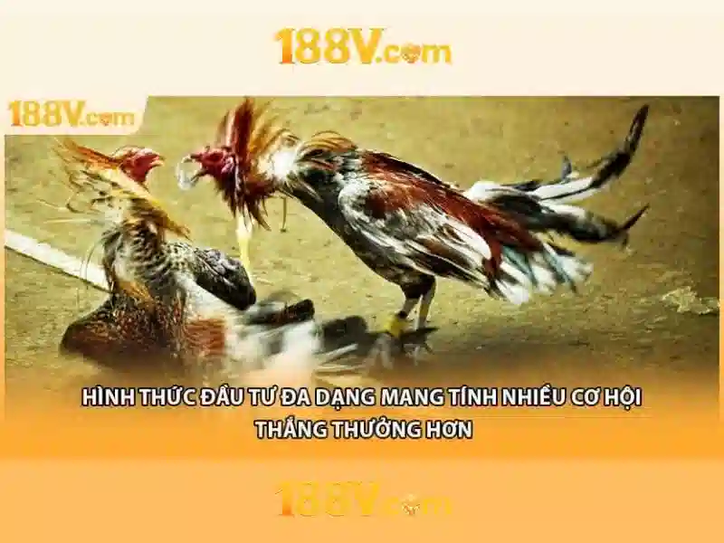 Việt Vị Trong Bóng Đá