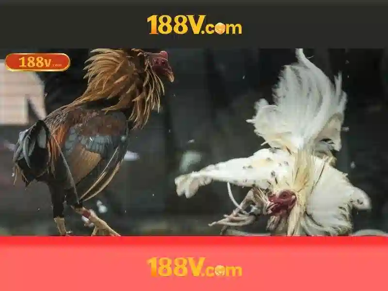 Việt Vị Trong Bóng Đá