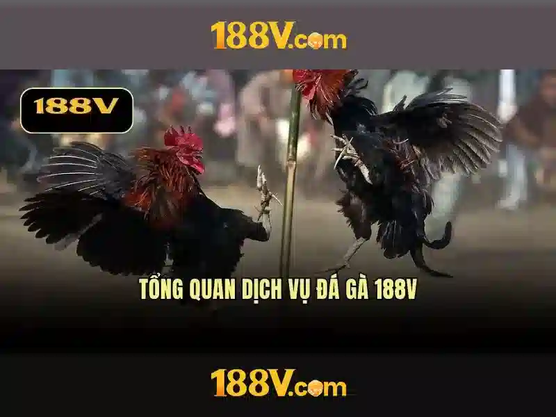 So sánh 188v với các chuẩn khác