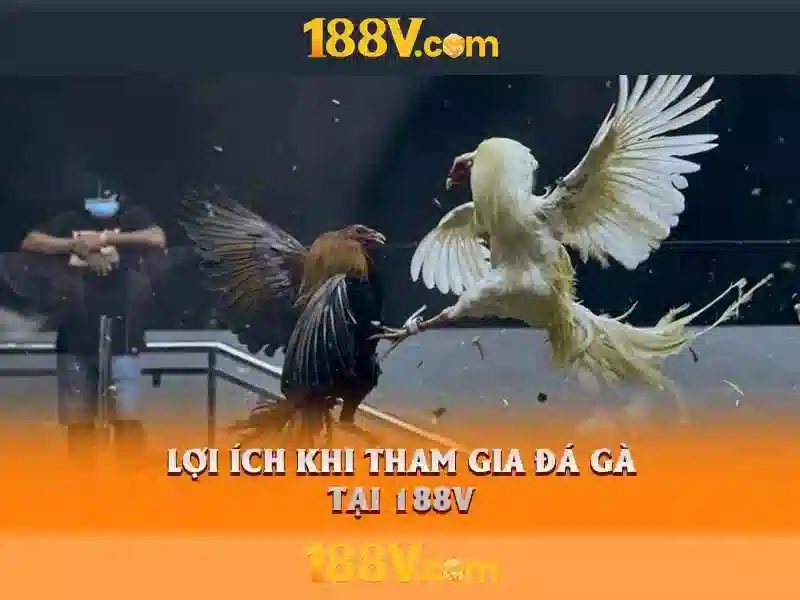 Ảnh hưởng và ứng dụng