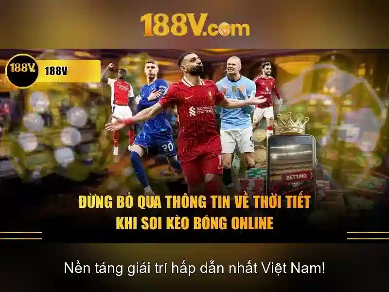 Lưu ý an toàn và chuẩn đoán