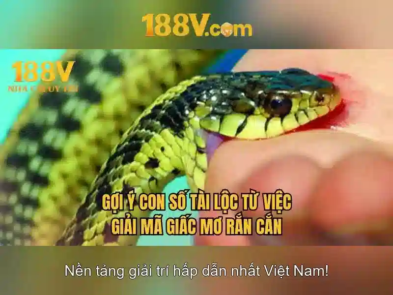 Rủi ro và thách thức