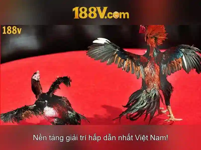 Những con phố mang mã 188v