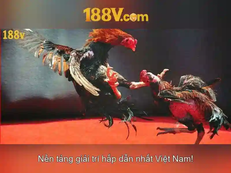 Kết luận về 188V Kết luận về 188V