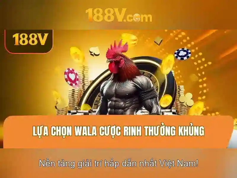 Nguồn gốc và ý nghĩa