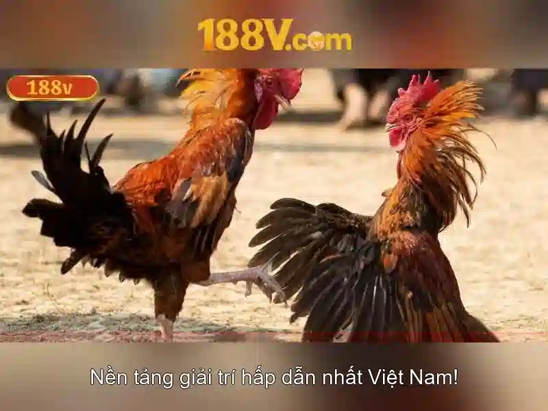 Khám phá 188v\n