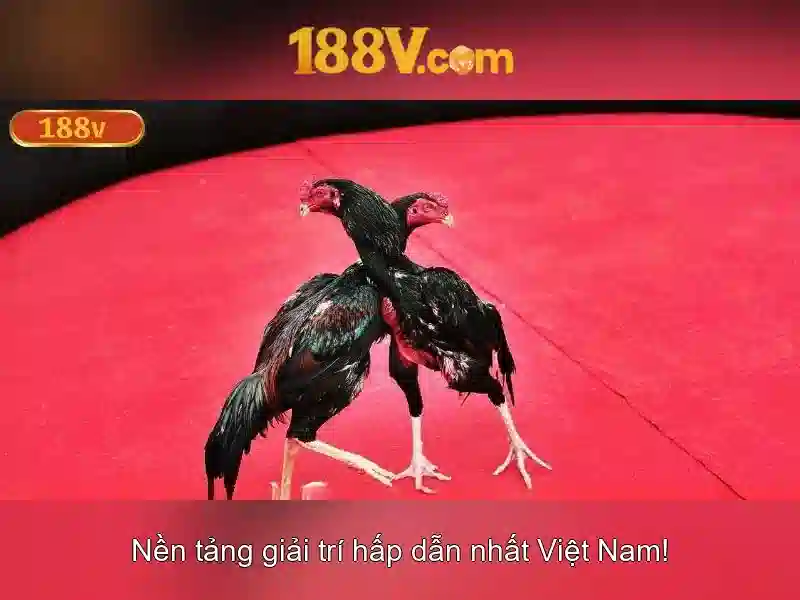 Việt Vị Trong Bóng Đá