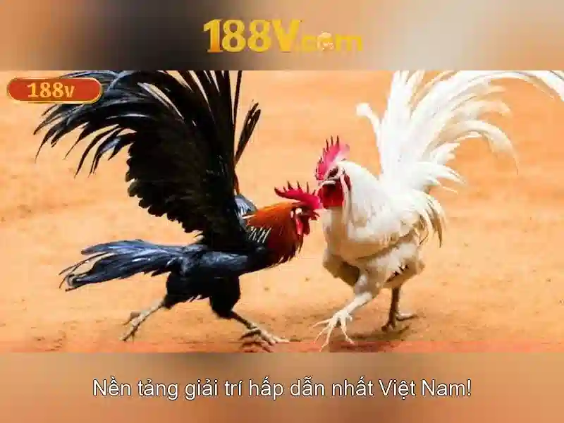 Việt Vị Trong Bóng Đá
