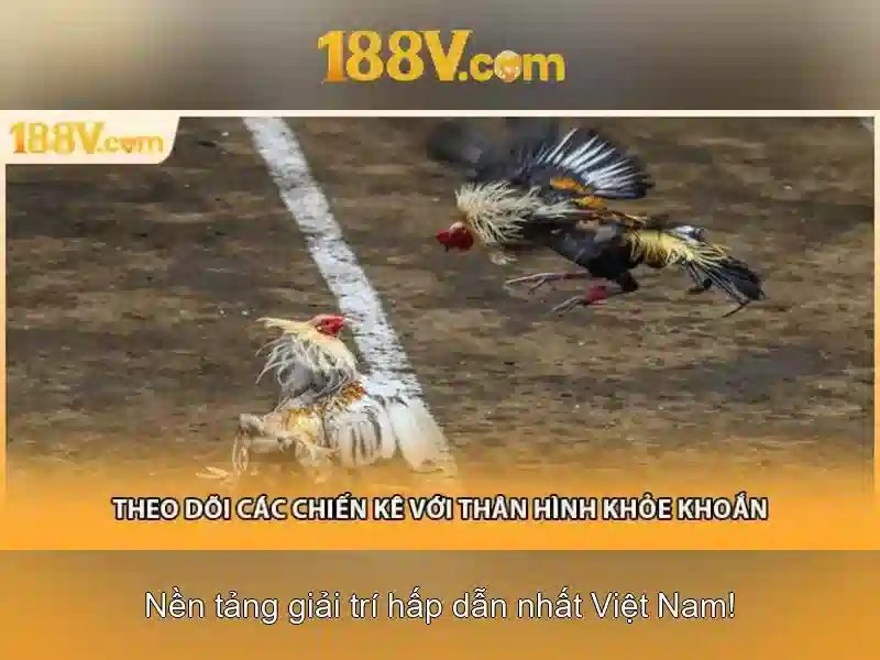 188v trong nghệ thuật số 188v trong nghệ thuật số