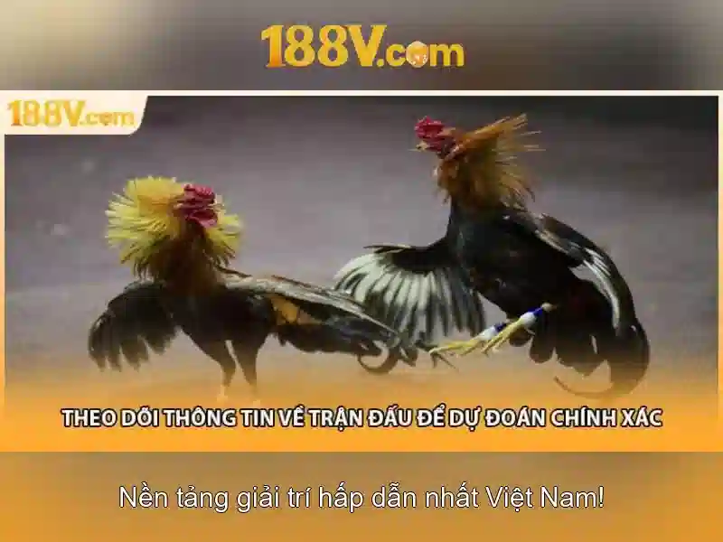 Nguồn gốc và ý nghĩa của 188V