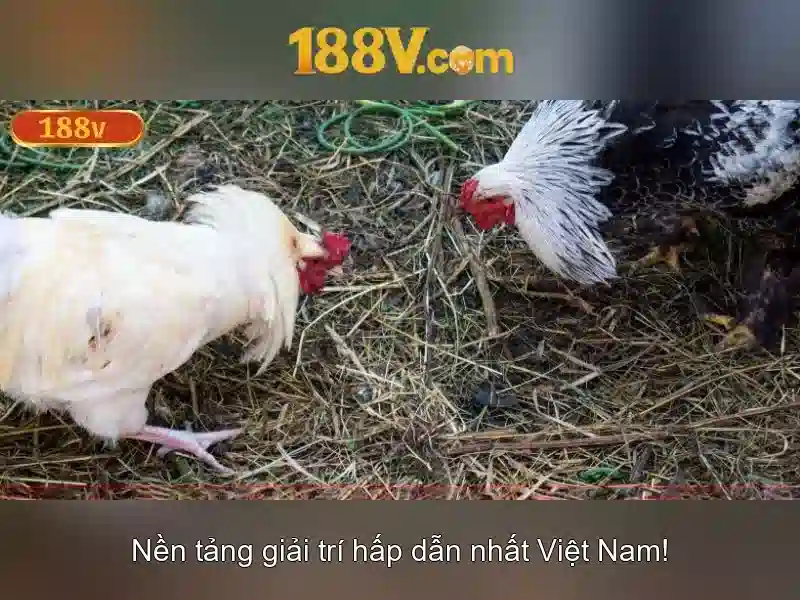 Kiến trúc và công nghệ\n\n