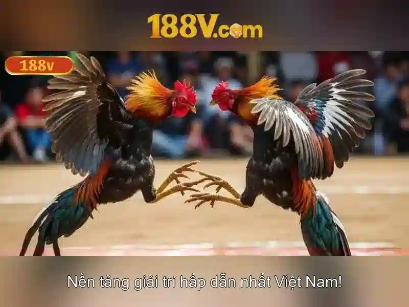 Sản phẩm và dịch vụ cốt lõi: ứng dụng thực tế của 188v có hợp pháp không