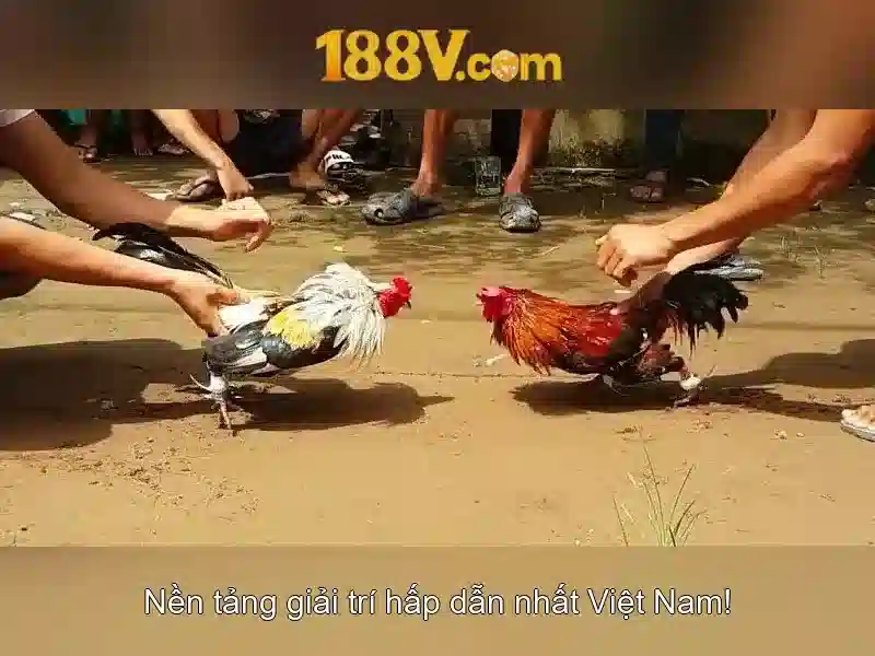Sự ra đời của 188V và ý nghĩa của nó đối với mạng lưới điện Sự ra đời của 188V và ý nghĩa của nó đối với mạng lưới điện