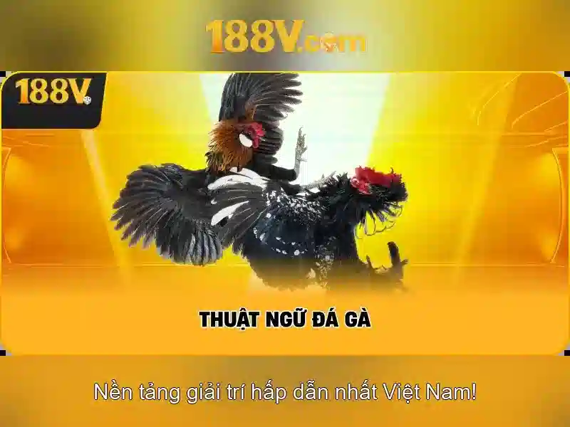 Tiep can khai niem