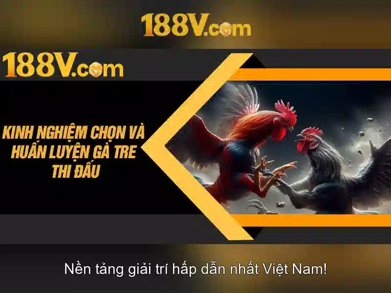Việt Vị Trong Bóng Đá
