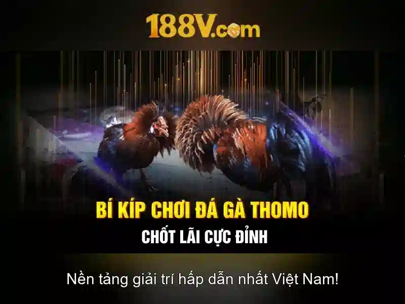 Nguon goc va y nghia cua chu v