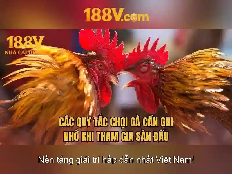 Việt Vị Trong Bóng Đá