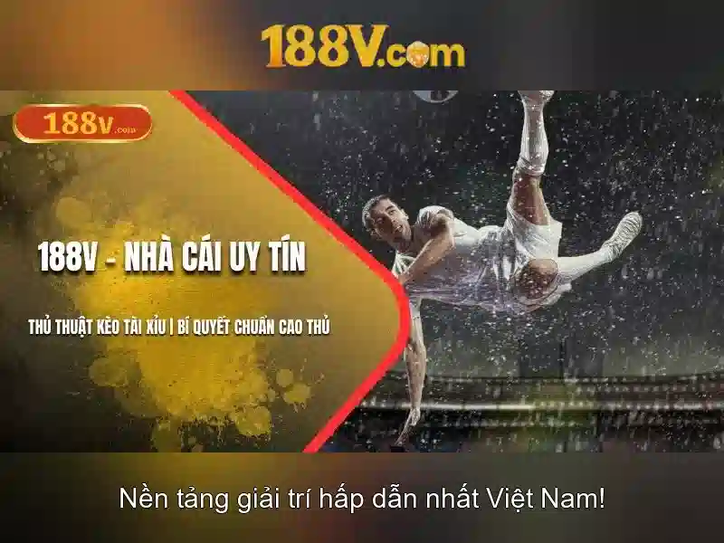 Bull Bull trực tuyến