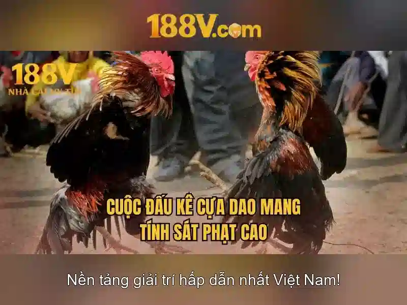 188v và tương lai