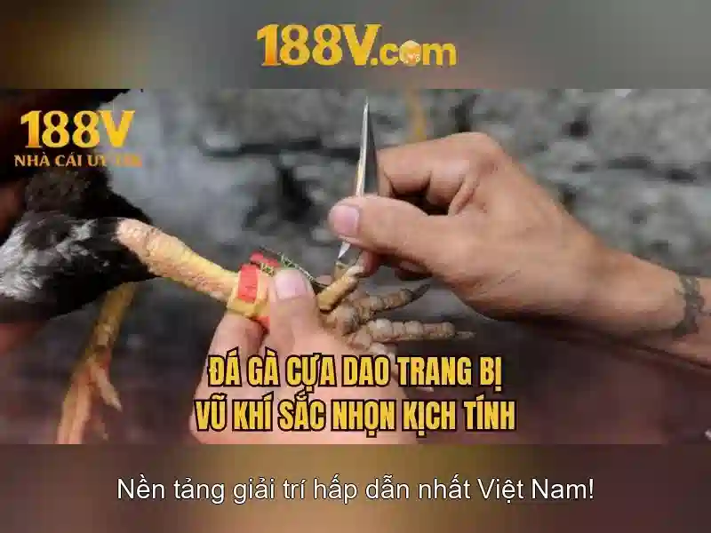 Việt Vị Trong Bóng Đá