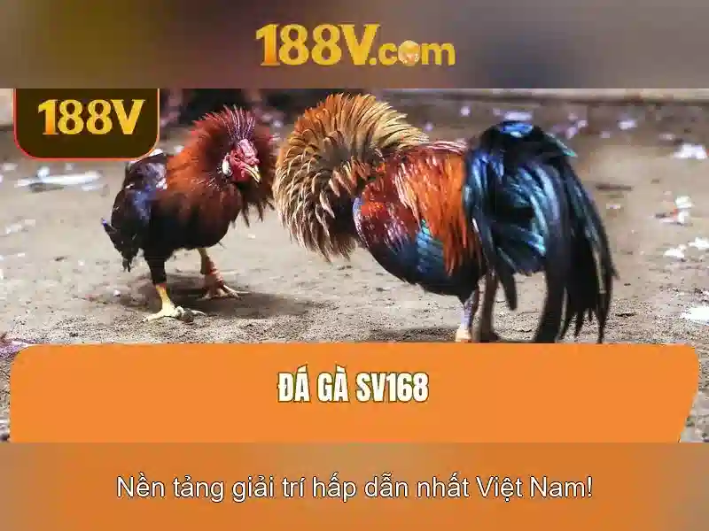 Kết luận Kết luận