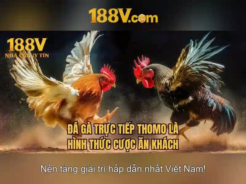 188V là gì?