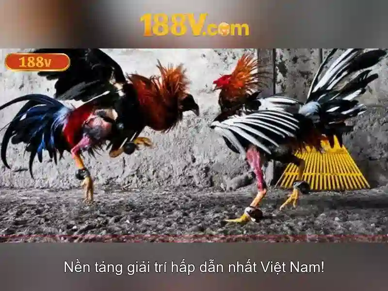 Việt Vị Trong Bóng Đá
