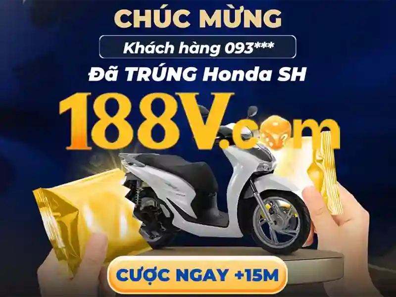 Trải nghiệm người dùng và phản hồi cộng đồng Trải nghiệm người dùng và phản hồi cộng đồng