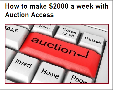 how to make $2000 per week with auction access